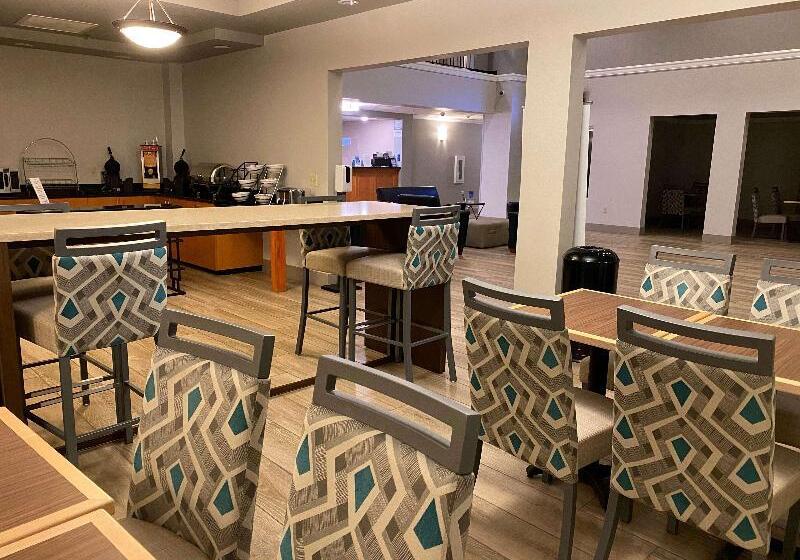 酒店 Best Western Windsor Inn And Suites