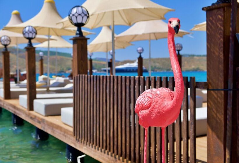 هتل Club Aquarium