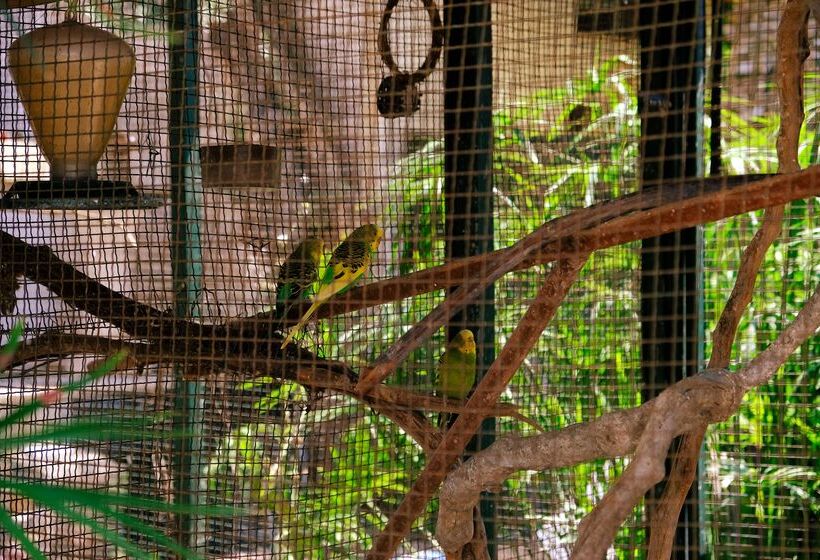 هتل Club Aquarium