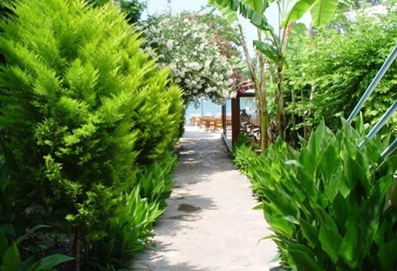 هتل Club Aquarium