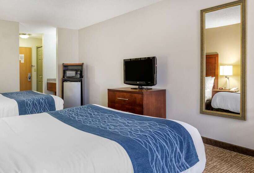 هتل Comfort Inn Downtown  University Area