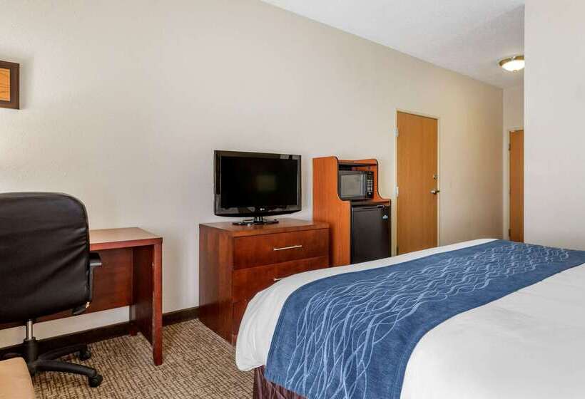 هتل Comfort Inn Downtown  University Area