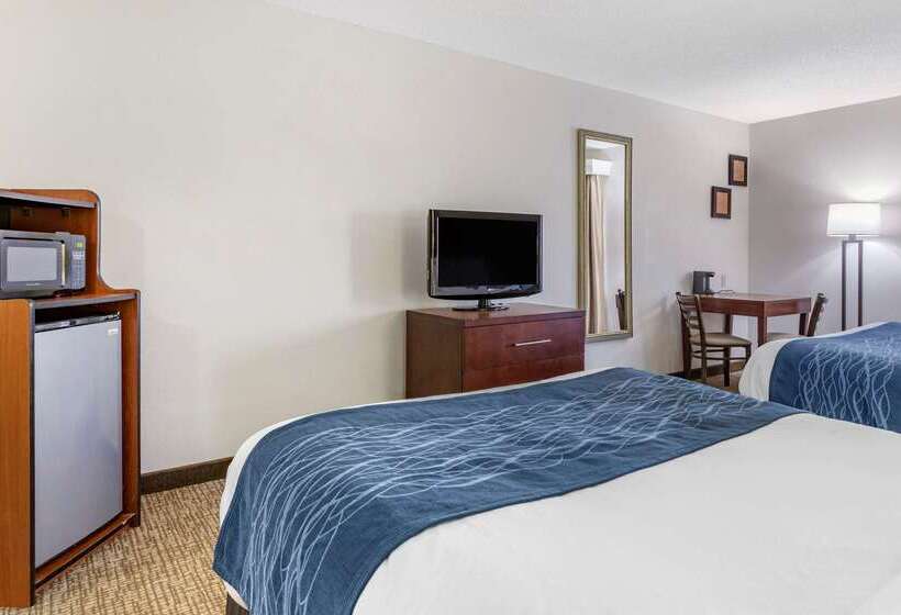 هتل Comfort Inn Downtown  University Area