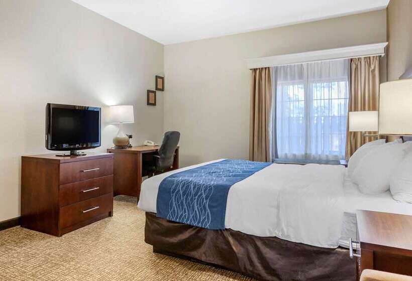 هتل Comfort Inn Downtown  University Area