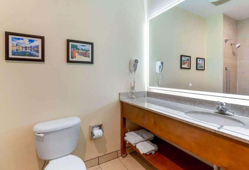 هتل Comfort Inn Near University