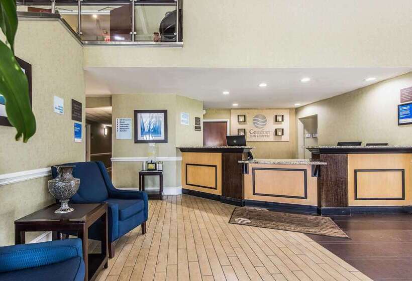 בית מלון כפרי Comfort Inn & Suites Greenwood Near University