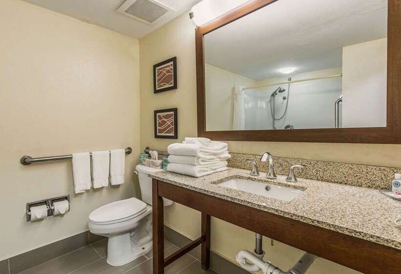 בית מלון כפרי Comfort Inn & Suites Greenwood Near University