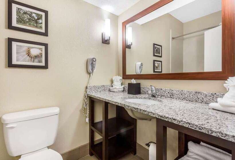 فندق Comfort Suites At The University
