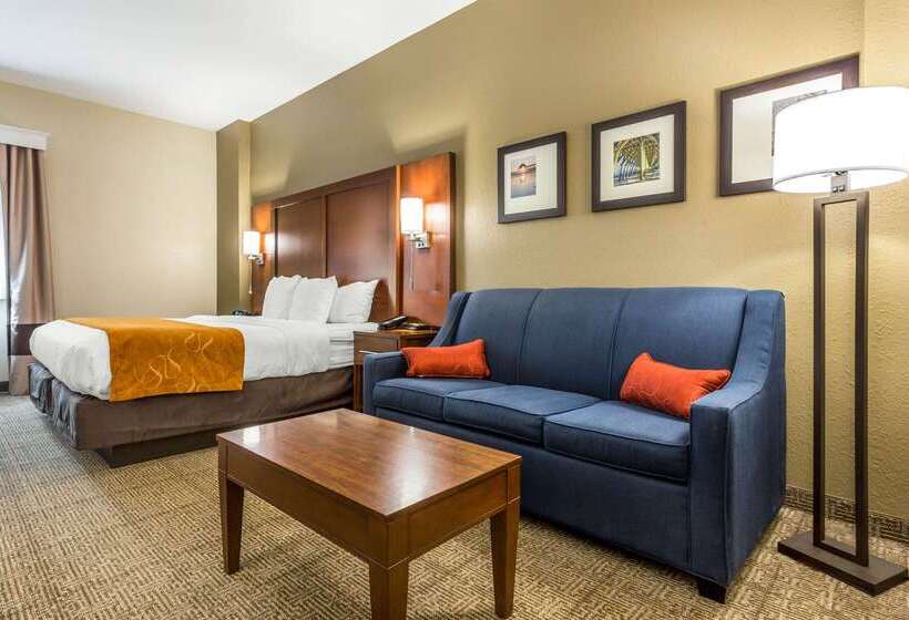 فندق Comfort Suites At The University