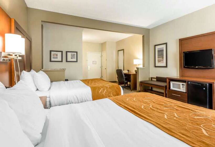 فندق Comfort Suites At The University