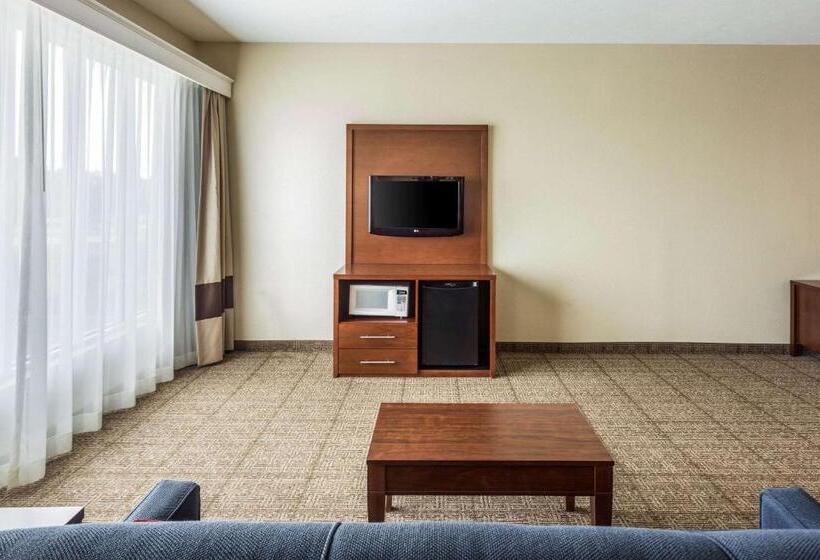 فندق Comfort Suites At The University