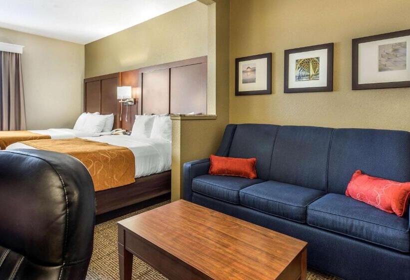 فندق Comfort Suites At The University