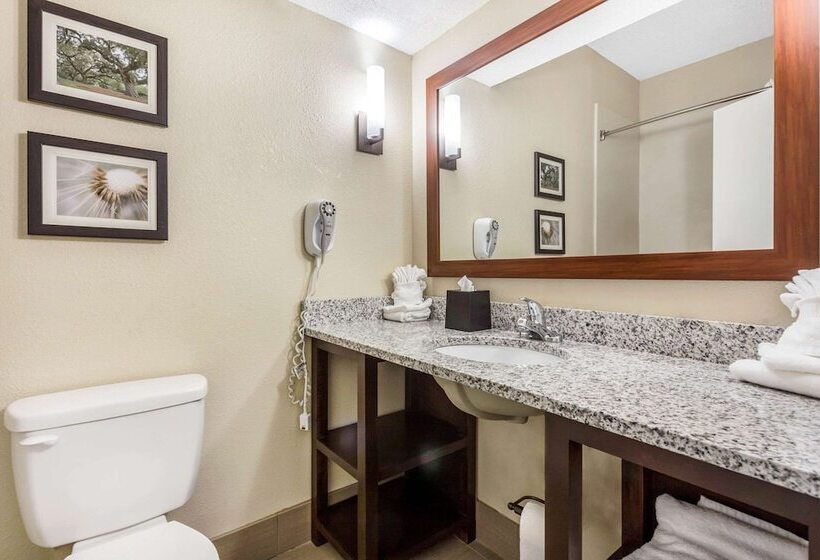 فندق Comfort Suites At The University