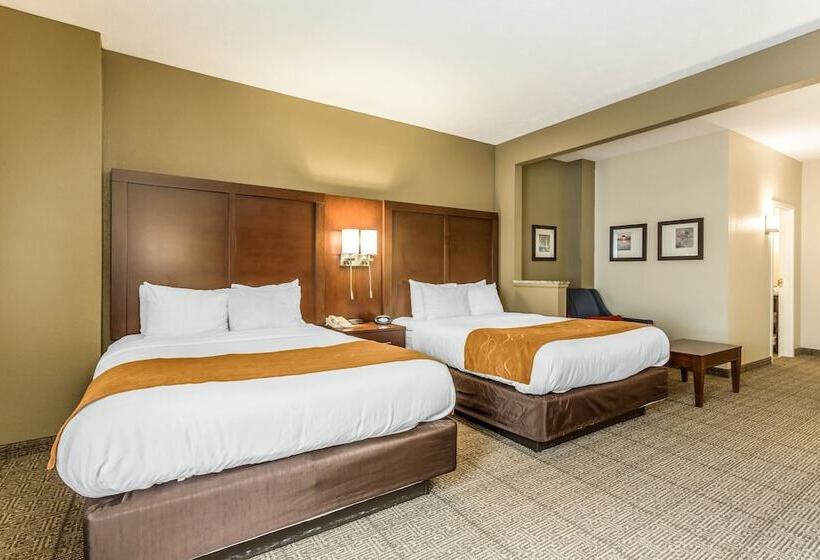 فندق Comfort Suites At The University