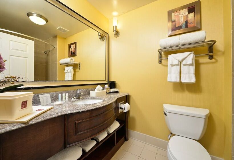 Отель Comfort Suites