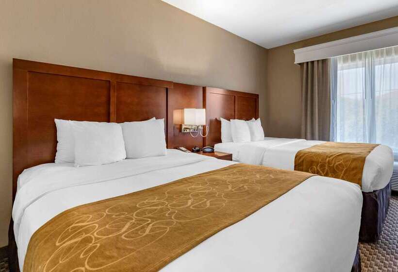 هتل Comfort Suites Near Texas A&m   Corpus Christi