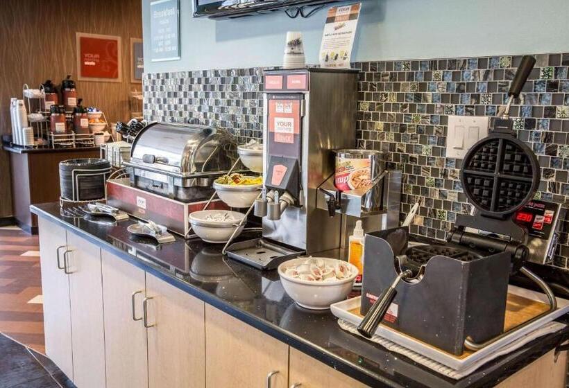 هتل Comfort Suites New Bern Near Cherry Point