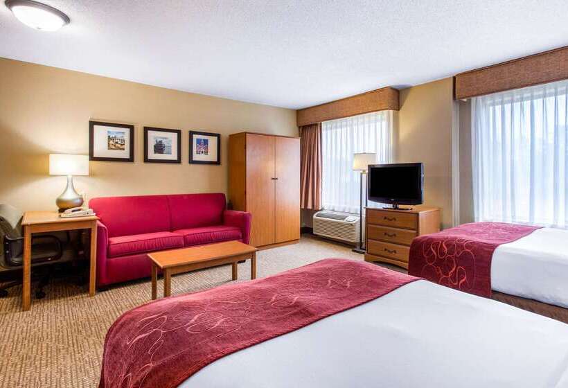 هتل Comfort Suites Wilmington Near Downtown