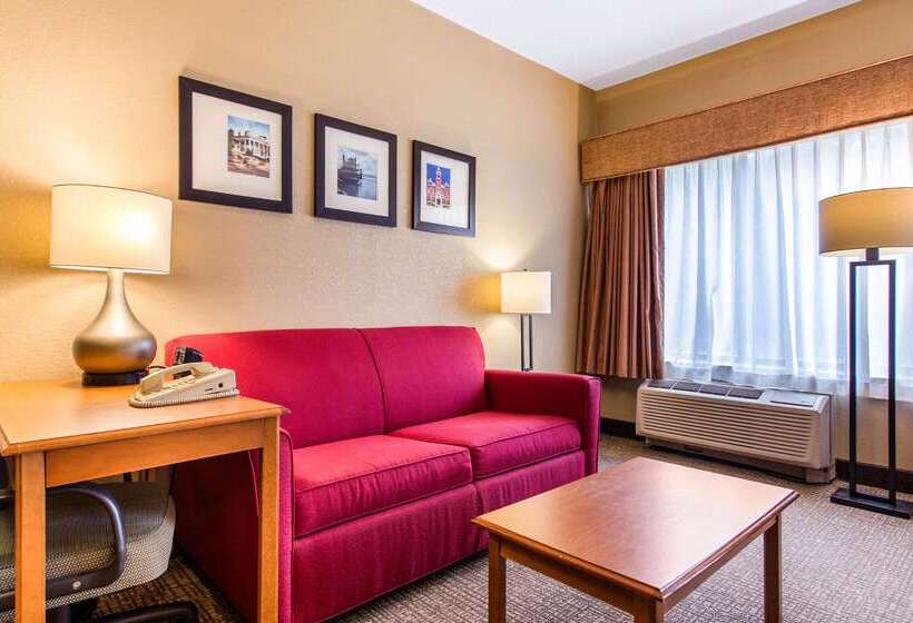 هتل Comfort Suites Wilmington Near Downtown