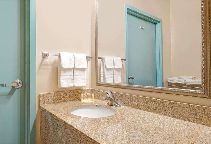 هتل Days Inn By Wyndham Downtown St. Louis