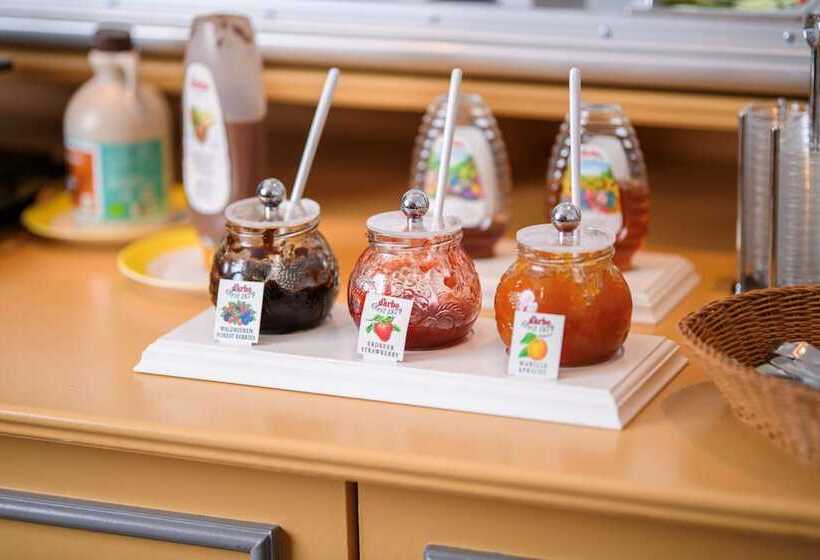 هتل Hannover Airport By Premiere Classe