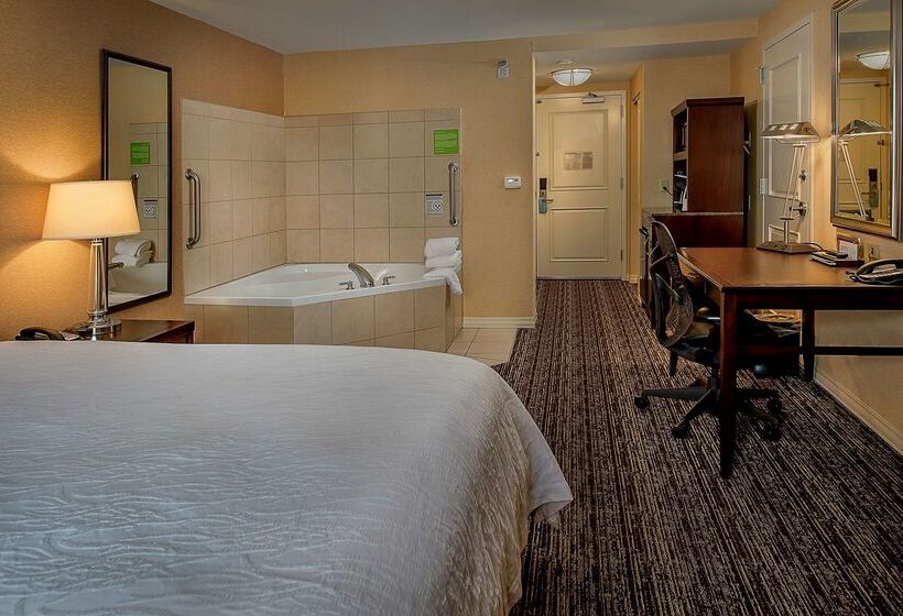 فندق Hilton Garden Inn St. Louis Airport