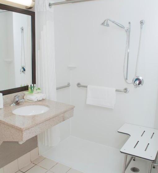 Holiday Inn Express Hotel & Suites Pittsburgh South Side, An Ihg