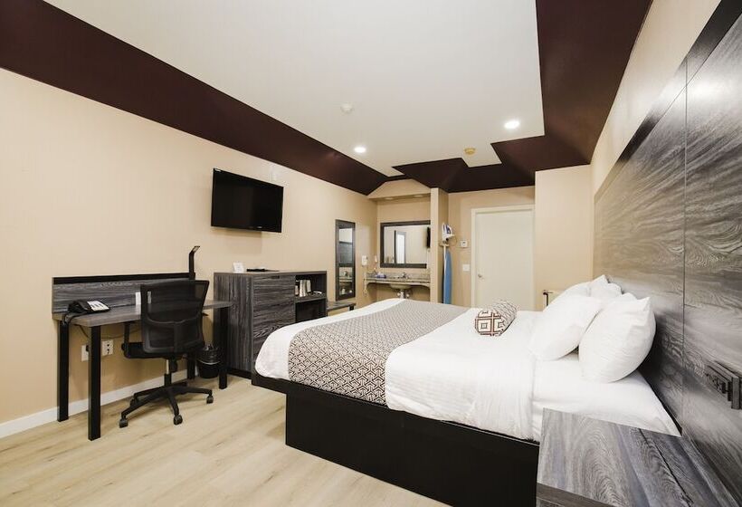 酒店 Sapphire Inn & Suites