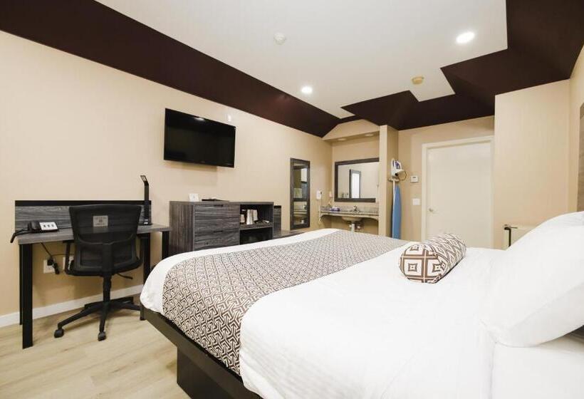 酒店 Sapphire Inn & Suites