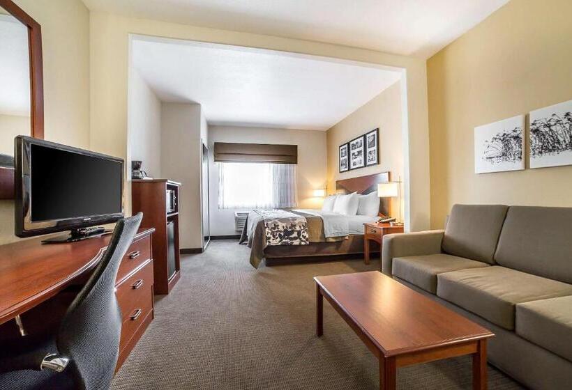 בית מלון כפרי Sleep Inn & Suites