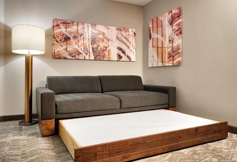 هتل Springhill Suites By Marriott Las Vegas Convention Center