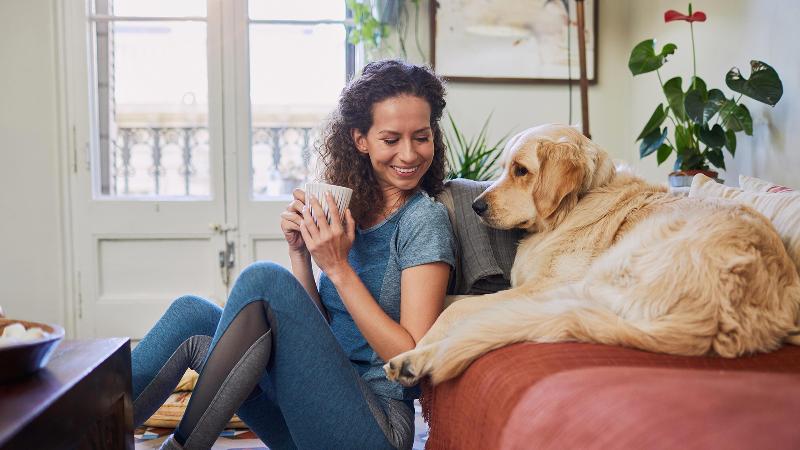 בית מלון כפרי Staybridge Suites San Antonio Sea World, An Ihg