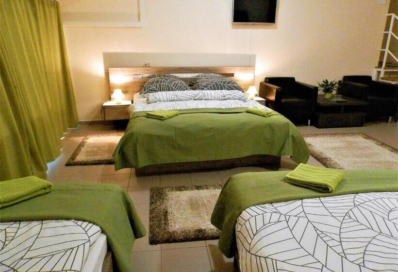 酒店 Bartók Tér Panzió