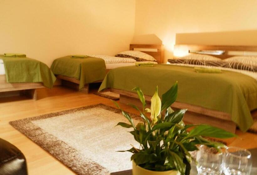 酒店 Bartók Tér Panzió