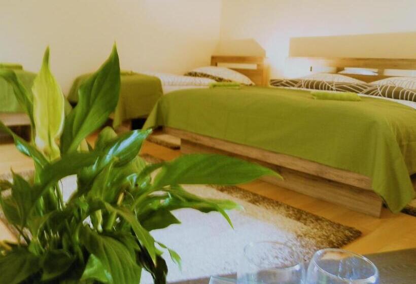 酒店 Bartók Tér Panzió