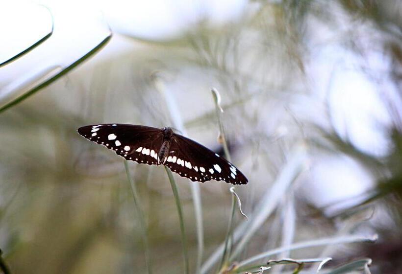 فندق Habitat Resort