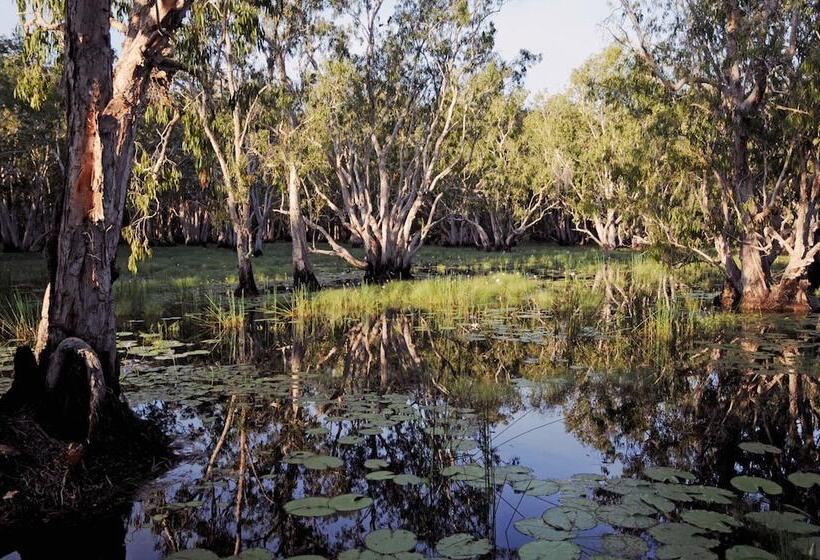 هتل Bamurru Plains