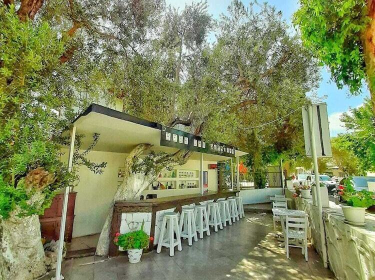 فندق Bircan