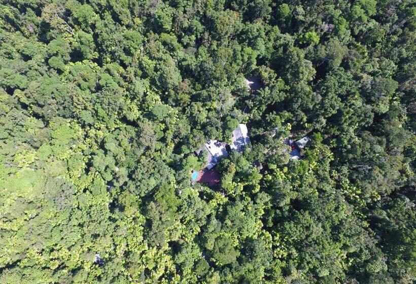 호텔 Daintree Wilderness Lodge