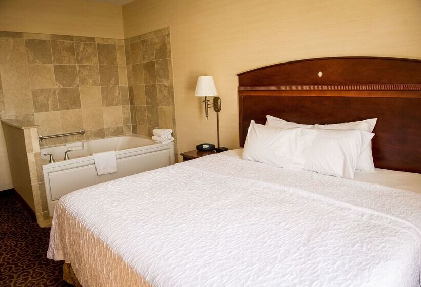 هتل Hampton Inn Plover/stevens Point