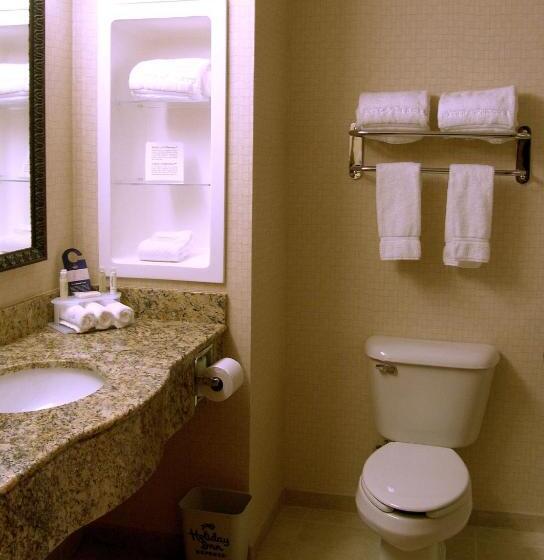 Holiday Inn Express Hotel & Suites Rochester, An Ihg