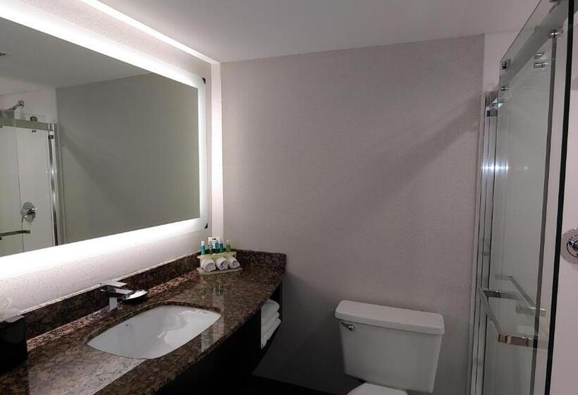 Отель Holiday Inn Express Schaumburg Rolling Meadows, An Ihg