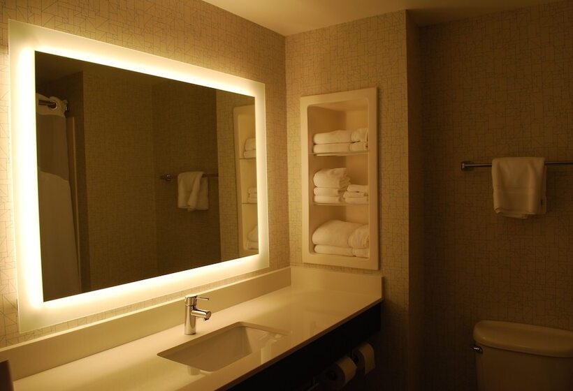 Holiday Inn Express Hotel & Suites Kingsport Meadowview I 26, An Ihg