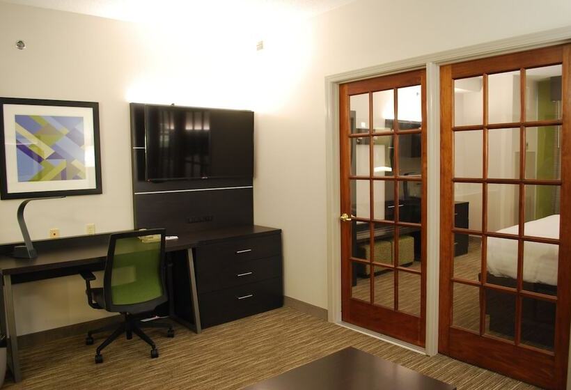 Holiday Inn Express Hotel & Suites Kingsport Meadowview I 26, An Ihg
