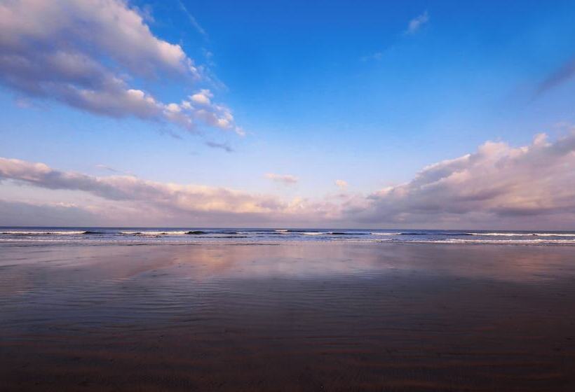 Отель Blue Ocean The Fern Resort & Spa Ganpatipule
