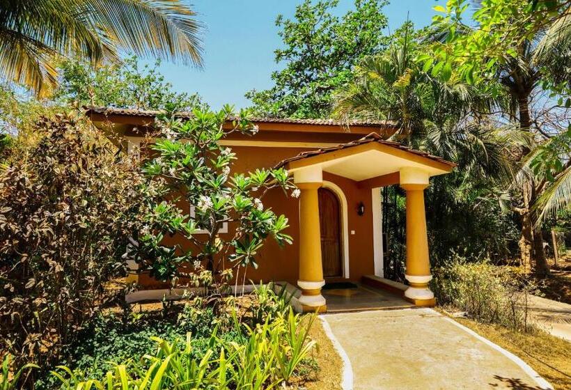 Отель Blue Ocean The Fern Resort & Spa Ganpatipule
