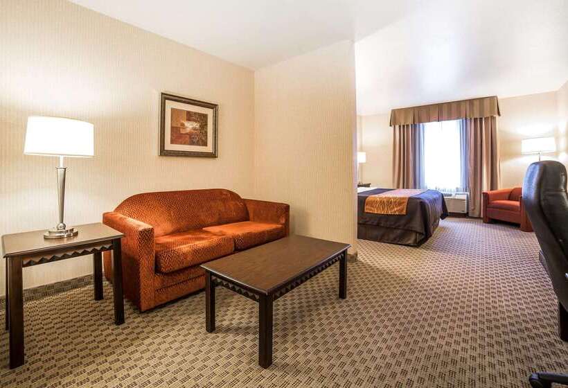 هتل Comfort Inn & Suites Henderson  Las Vegas