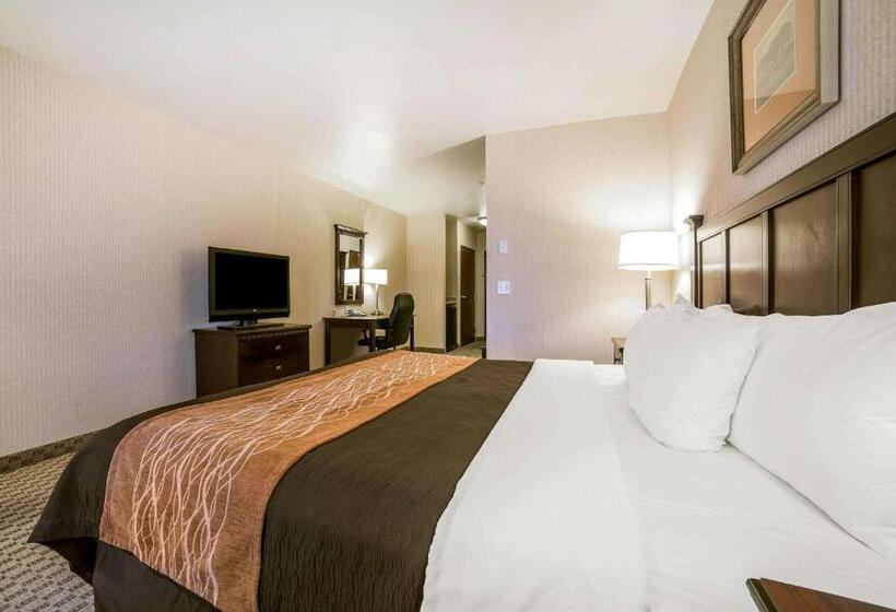 هتل Comfort Inn & Suites Henderson  Las Vegas