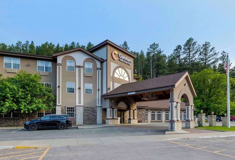 هتل Comfort Inn & Suites Mt. Rushmore
