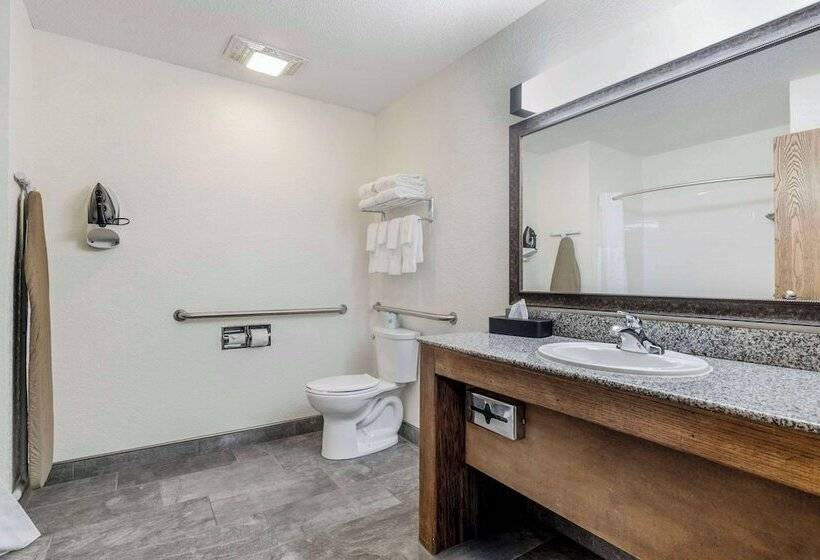 هتل Comfort Inn & Suites Mt. Rushmore